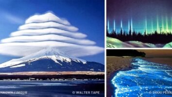 نگاهی به شگفت انگیزترین پدیده‎های طبیعی دنیا