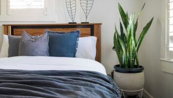 ۱۵ گیاه آپارتمانی معجزه گر که خواب شبانه را بهبود می‎بخشند