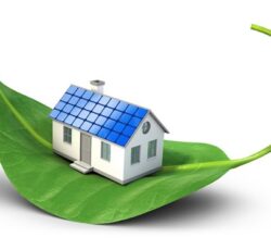 مشاور املاک چلسی