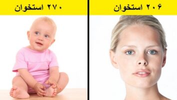 ۱۷ حقیقت علمی عجیب و جالب که احتمالا چیزی از آن ها نمی دانید