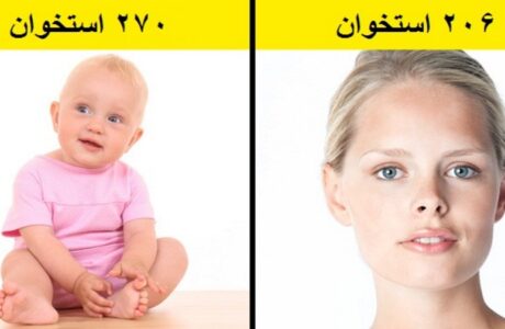 ۱۷ حقیقت علمی عجیب و جالب که احتمالا چیزی از آن ها نمی دانید