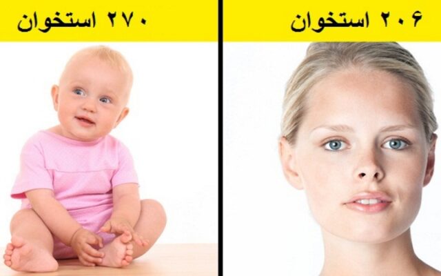 ۱۷ حقیقت علمی عجیب و جالب که احتمالا چیزی از آن ها نمی دانید