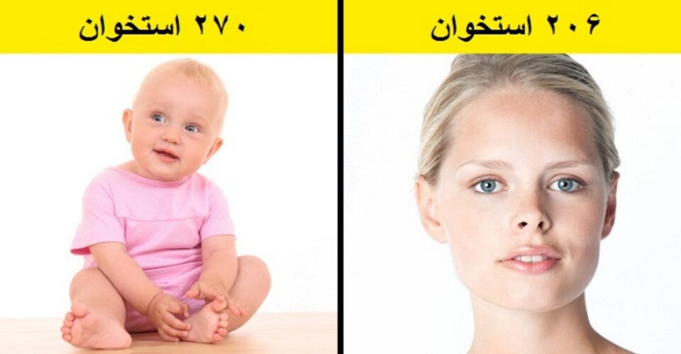 ۱۷ حقیقت علمی عجیب و جالب که احتمالا چیزی از آن ها نمی دانید