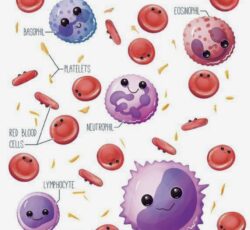 آزمایشگاه رادمان فردیس