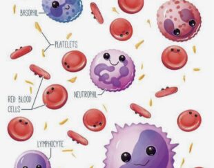 آزمایشگاه رادمان فردیس