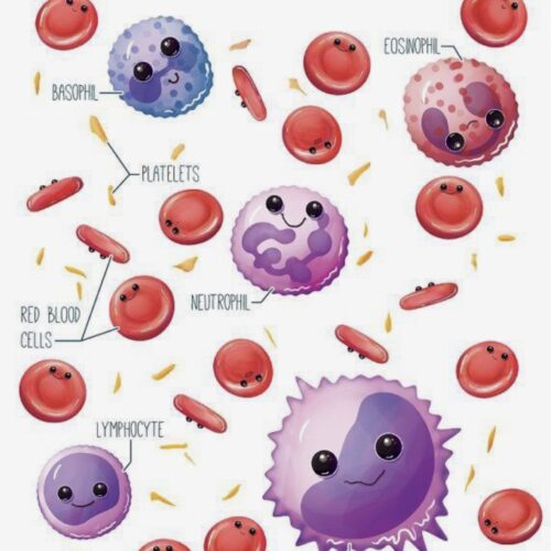 آزمایشگاه رادمان فردیس